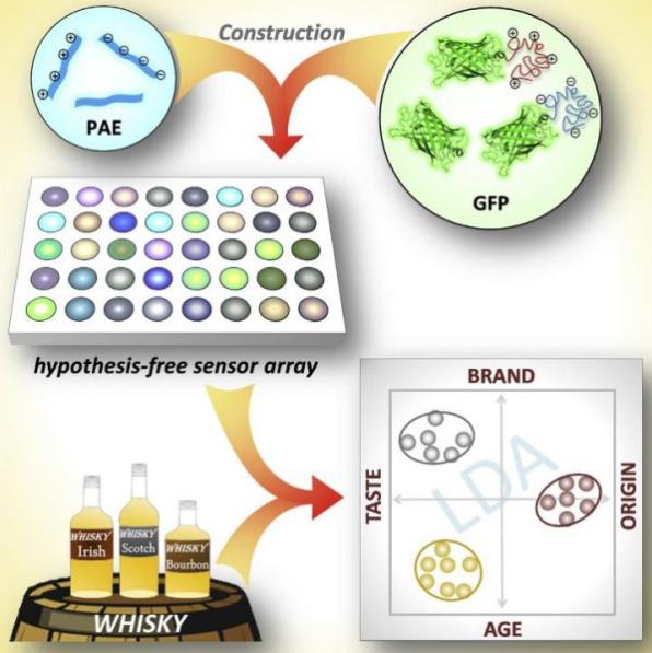 微陣列螢光標(biāo)定的生物芯片 微陣列螢光標(biāo)定的生物芯片