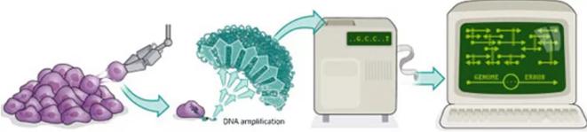 單細(xì)胞測序技術(shù)的流程 單細(xì)胞測序技術(shù)的流程
