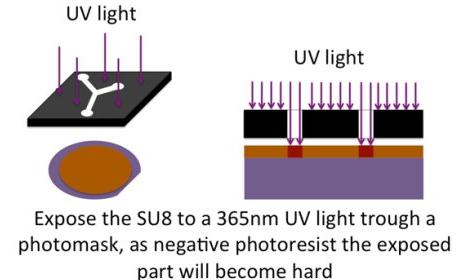 曝光的目的是通過激活光刻膠中的部分PAC(PhotoActiv Component)來引發交聯反應 曝光的目的是通過激活光刻膠中的部分PAC(PhotoActiv Component)來引發交聯反應