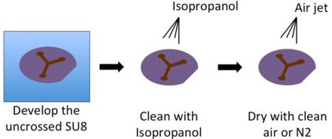 負性環氧樹脂SU-8光刻膠的顯影 負性環氧樹脂SU-8光刻膠的顯影