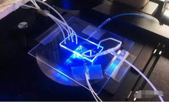 新設備檢測血液中的腫瘤細胞