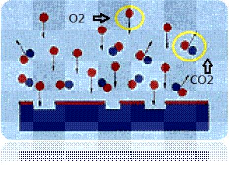 圖二為已被電離化的氣體分子團（Plasma）對被處理材料的分子團進行撞擊及反應。