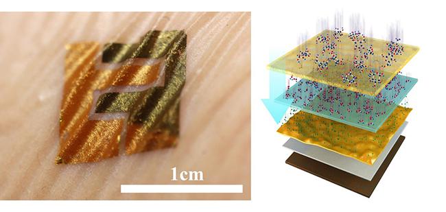 類皮膚生物傳感器及結構示意圖