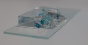 微流控芯片中玻璃和PDMS進行等離子鍵合 微流控芯片中玻璃和PDMS進行等離子鍵合