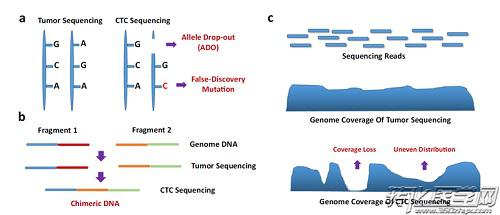 CTC測(cè)序的挑戰(zhàn)與未來(lái)展望