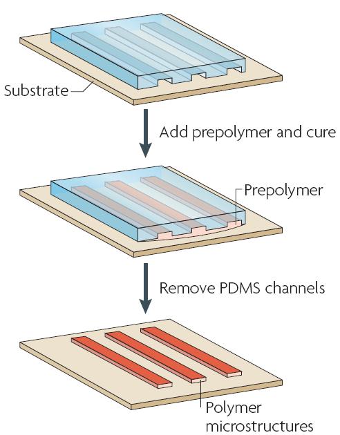 圖4 毛細管成形技術的過程 圖4 毛細管成形技術的過程