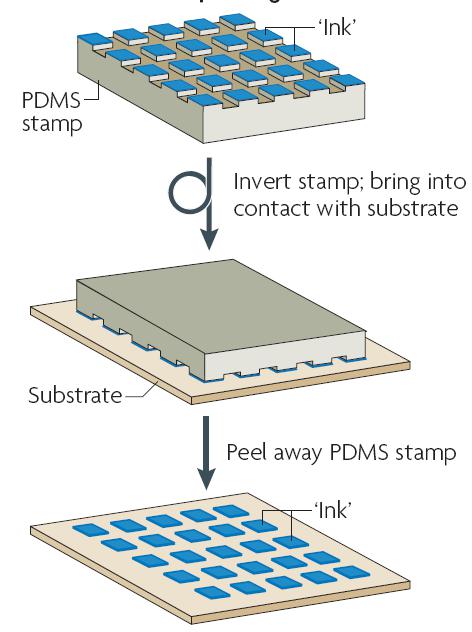 圖 5 微接觸印刷技術的過程 圖 5 微接觸印刷技術的過程