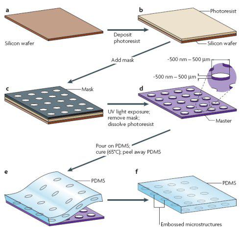 集成微結構的PDMS層的加工過程 集成微結構的PDMS層的加工過程