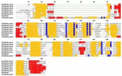 設計PPI治療方案,多考慮點 設計PPI治療方案,多考慮點