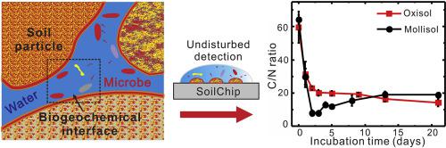 采用濕潤(rùn)性圖案化微流控芯片技術(shù)用于土壤生物地球化學(xué)界面的形成過(guò)程研究 采用濕潤(rùn)性圖案化微流控芯片技術(shù)用于土壤生物地球化學(xué)界面的形成過(guò)程研究