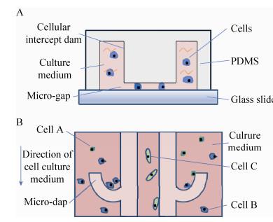 圖 2 芯片結構示意圖