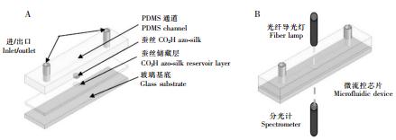 圖 3 基于 PDMS 材質的可穿戴式的汗液 pH 檢測芯片