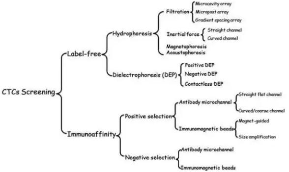 圖2：微流控系統分離CTCs的方法