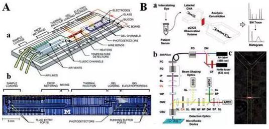 圖5：分析cNAs的微流控系統