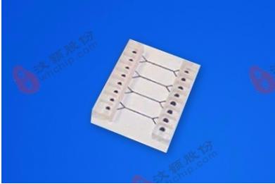 汶顥玻璃微流道常規細胞培養芯片