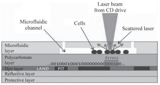 圖4微流控芯片細(xì)胞計(jì)數(shù)研究