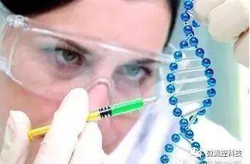 微流控技術在基因分析研究中的應用