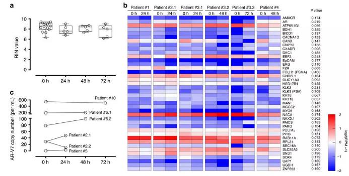 圖：從前列腺癌患者血液中分離出的CTC經全血保存后含有完整的RNA，RNA測序和微滴數字PCR結果如圖所示。