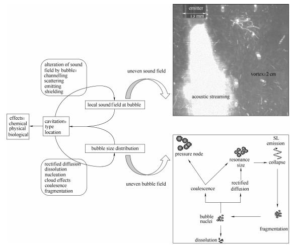 圖3反應器中聲空化行為——復雜聲場和氣泡場的動態耦合