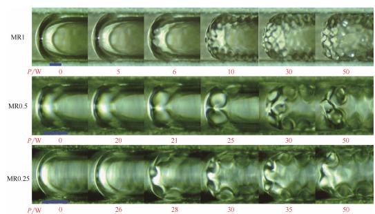 圖9超聲作用下微通道內彈狀氣泡運動行為（標尺250μm）