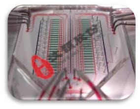 分析水平藥物篩選微流控生物芯片 分析水平藥物篩選微流控生物芯片