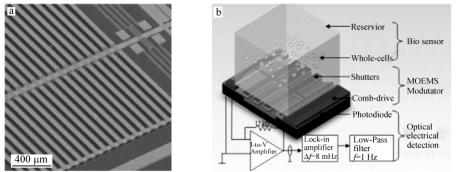圖2整合的微光電機械系統(MOEMS)(a)和細胞傳感生物傳感芯片實驗室系統(b)