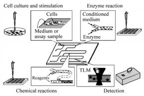 圖5基于微芯片的生物分析系統