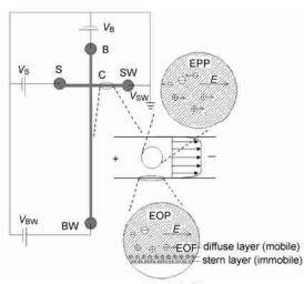 圖1芯片電泳泵和電滲泵示意圖