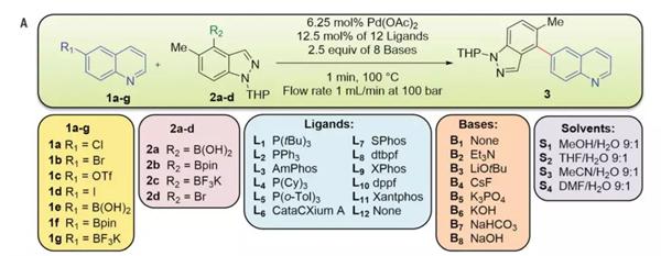 Suzuki-Miyaura偶聯反應模型（圖片來源：《科學》）