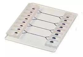 細胞培養微流控芯片 細胞培養微流控芯片