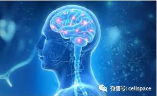 從實際應(yīng)用出發(fā)，讓標志物助力精準診斷