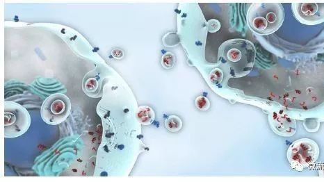 眾望所歸，液體活檢技術將迎來全新發展時代