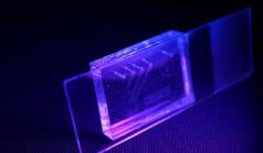 PDMS微流控芯片 PDMS微流控芯片