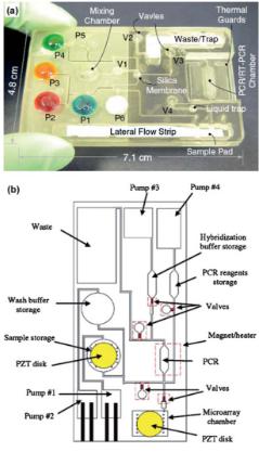 聚碳酸酯微流體盒,其中袋填充染料更好的可視化,他們被設計來存儲各種試劑和緩沖區 聚碳酸酯微流體盒,其中袋填充染料更好的可視化,他們被設計來存儲各種試劑和緩沖區