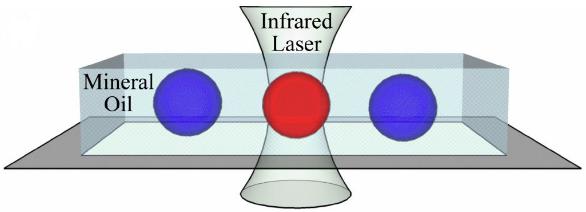 激光加熱PCR液滴膜