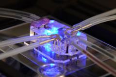 細胞生物學微細加工技術