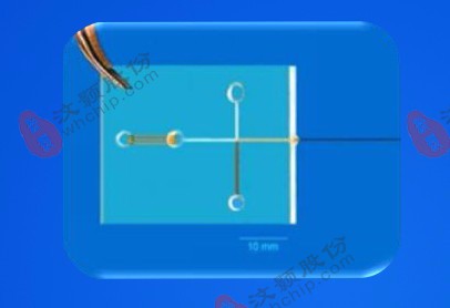 Custom Chip for detection of small molecules