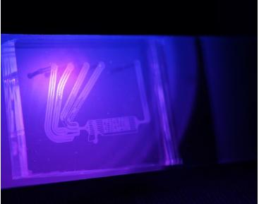 PDMS微流控芯片 PDMS微流控芯片