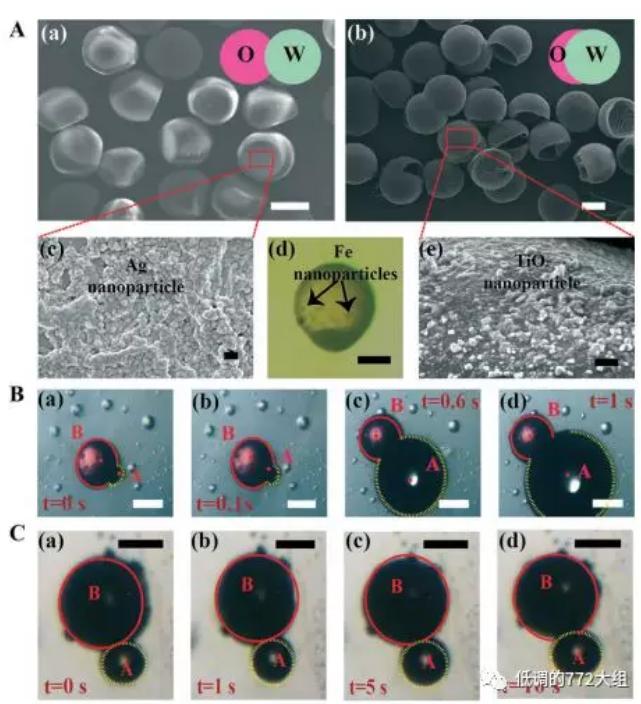 圖2. 兩種結構的Janus顆粒 圖2. 兩種結構的Janus顆粒