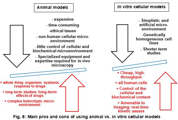 大多數(shù)優(yōu)點(diǎn)和缺點(diǎn)適用于整個體外模型，即2D和3D蜂窩系統(tǒng)
