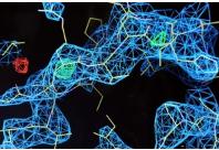 芯片實驗室與分子生物學(xué)