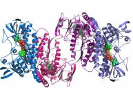 芯片實驗室和蛋白質(zhì)組學(xué)