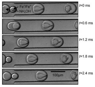顯示通過氯化鐵溶液液滴與氫氧化銨液滴在通道旁邊的電極施加的電場(chǎng)的影響下形成氧化鐵納米顆粒的圖像。來自Frenz等人的圖片 “用于合成磁性氧化鐵納米粒子的基于液滴的微反應(yīng)器” 顯示通過氯化鐵溶液液滴與氫氧化銨液滴在通道旁邊的電極施加的電場(chǎng)的影響下形成氧化鐵納米顆粒的圖像。來自Frenz等人的圖片 “用于合成磁性氧化鐵納米粒子的基于液滴的微反應(yīng)器”