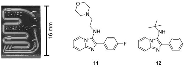 用于合成G蛋白偶聯(lián)受體調(diào)節(jié)化合物的微流控芯片。來自Rodrigues等人的圖片 “通過微流體系統(tǒng)獲得新的化學(xué)實(shí)體。” 用于合成G蛋白偶聯(lián)受體調(diào)節(jié)化合物的微流控芯片。來自Rodrigues等人的圖片 “通過微流體系統(tǒng)獲得新的化學(xué)實(shí)體。”
