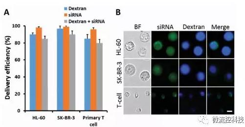 微流控芯片技術助力免疫治療,將CRISPR體系傳遞到人類T細胞 微流控芯片技術助力免疫治療,將CRISPR體系傳遞到人類T細胞