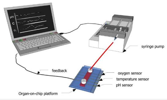 圖1：示意圖顯示了如何使用傳感器連續(xù)監(jiān)測(cè)微流體通道內(nèi)的生化參數(shù)。