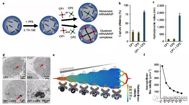 基于微流控芯片的新型的液體活檢技術(shù) 基于微流控芯片的新型的液體活檢技術(shù)