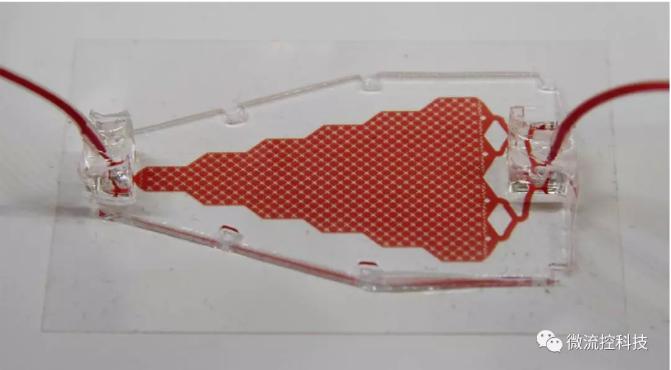 循環(huán)腫瘤細(xì)胞(CTCs)芯片 循環(huán)腫瘤細(xì)胞(CTCs)芯片