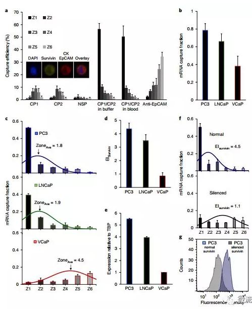 基于微流控芯片的新型液體活檢技術(shù),助力前列腺癌診療 基于微流控芯片的新型液體活檢技術(shù),助力前列腺癌診療