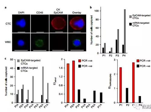 基于微流控芯片的新型液體活檢技術(shù),助力前列腺癌診療 基于微流控芯片的新型液體活檢技術(shù),助力前列腺癌診療